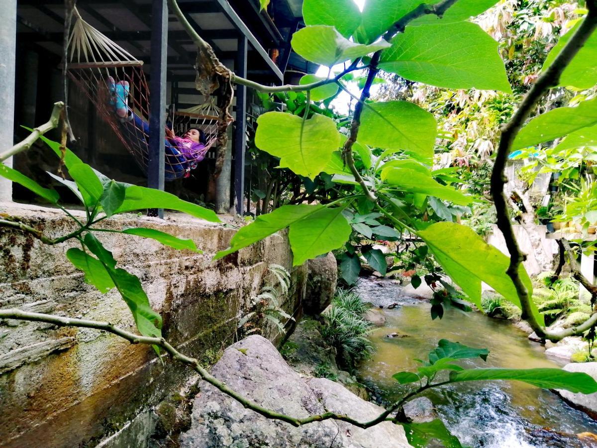 แม่อุ๊ยโฮมสเตย์&Mae Uai Homestay Ban Pok Nai Luaran gambar